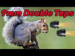 Double Tapping Squirrels with a 9mm... too much?