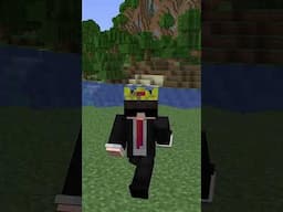 I Defeated The Owner of This Minecraft SMP!