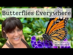 I Have a Cool Thing to Show You, I’m Trying Some New Milkweeds & There are Lots of Butterflies
