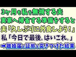 【スカッとする話】  3ヶ月も私を無視する夫 実家へ帰省する準備をすると 夫「久しぶりに外食に行こう！」 私「今日で最後。はいこれ。」 ➡離婚届と証拠を突きつけた結果