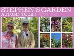 Stephen's garden: Autumn tour!