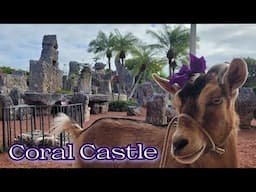 Coral Castle and Big Cypress National Preserve