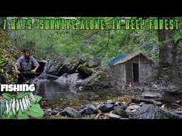 7 Days Solo Survival Camping & Fishing in Rain Forest: Building Warm BUSHCRAFT SHELTER in Jungle