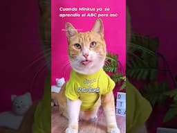 Cuando el gatito ya sabe decir el ABC pero lo aprendio diferente, jeje! 😰😹 #chistesmalos