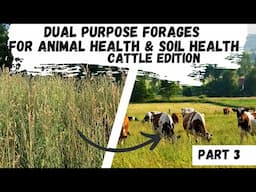Dual Purpose Forages for Livestock Health & Soil Part 3 (Final)