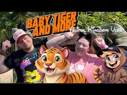 Bakso the Baby Tiger and More | Beautiful Fun Day in Animal Kingdom