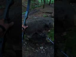 Skill or Luck ? archery park last summer #survival #bushcraft #archery #survivalskills