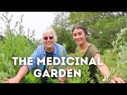 Half Wild, Half Order: A Garden That Grows Its Own Way