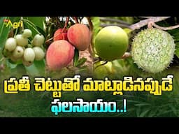 Popular Exotic Fruits Farming in Telugu | ప్రతీ చెట్టుతో మాట్లాడినప్పుడే ఫలసాయం..! Tone Agri