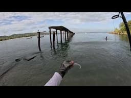 CATCHING FISH UNDER THE JETTY - Snook Fishing On The Beach In Tobago - Caribbean Inshore Fishing