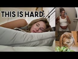 Pregnant & Caring for My Rabbit: A Real Day in the Third Trimester