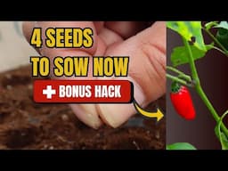 4 Seeds to Sow Now in April Week 4 + 1 Bonus Gardening Hack You’ll Love!