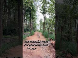 Hidden Gem Near Bangalore! | Citrus Trail Day
