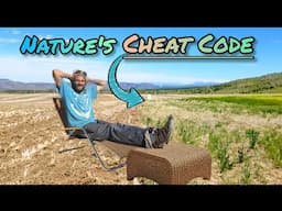 Lazy Persons Way To Rebuild Dead Desert Soil