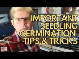 Vegetable Garden Seedling Production Essential Steps