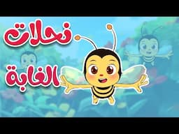 أغنية نحلات الغابة - قناة أسرتنا