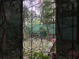 Hailstorm in Islamabad #hailstorm #asmrsounds #hail