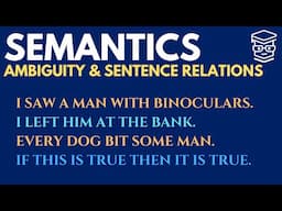Ambiguity and Sentence Relations