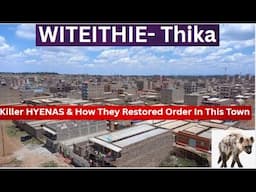 Mandatory Night CURFEW By Man-Eating HYENAS & How They Reduced Alcoholics & Thieves In Witeithie