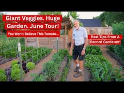 This Garden Tour Will Change How You Grow Food | World Record Veggies, Tomatoes, Onions & More!