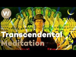Journey into the World of Transcendental Meditation - David Wants To Fly (Documentary, 2010)