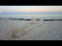 Robb‘s Saturday Morning Beach Walk at Delnor-Wiggins in North Naples, Florida | June 14, 2025