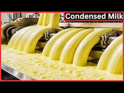 What Happens INSIDE A Condensed Milk Factory? Modern Dairy Farm!