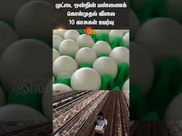 முட்டை ஒன்றின் பண்ணைக் கொள்முதல் விலை 10 காசுகள் உயர்வு | Namakkal | Eggs | Shorts | Sun News