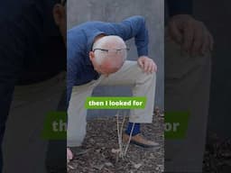 Is Your Plant Alive?!