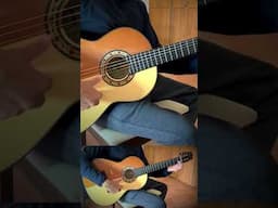 Gipsy del Mundo - ne t’en va pas - Mario Régis Gipsy Kings romance Spanish guitar #guitar #romance