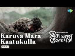 Karuva Mara Kaatukulla - Audio song | Raavana Kottam | Shanthnu Bhagyaraj | Justin Prabhakaran