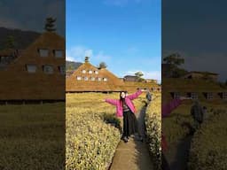 La Collina Omihachiman Club Harie Cake Shop ラ コリーナ近江八幡 2025 冬休み @ochikeron