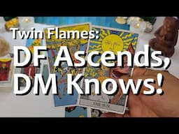 Twin Flames: DF Ascends, DM Knows! 😁🙌😍 Messages From Divine Feminine 06/15 - 06/21 2025