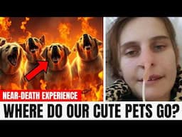 Jesus Reveals Where Animals Go in the Afterlife (MUST WATCH NDE) - Jesus NDE Shocking Testimony