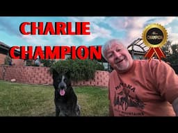 This Dog Can Spell His Name