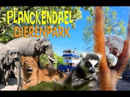 Dierenpark Planckendael | De ZOO met 5 Continenten