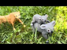 A Koala Story 🐨| Schleich Story |