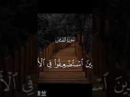 القرآن الكريم _ تلاوة القرآن بصوت جميل _ الشيخ صديق المنشاوي #learnchinese #freemandarinchinese