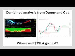 Combined Danny + Cat analysis: Crazy week for $TSLA. What's next?