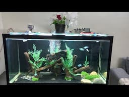 Aquarium Sump Filter new design or Idea