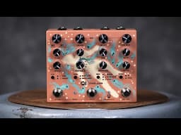 An Entire Ambient Pedalboard in 1 Small Box!