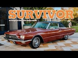 10 SURVIVOR Classics Under $20K You Won’t Believe Still Exist!