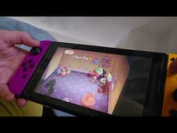 Animal Crossing-- "BUNNY DAY" ROOM