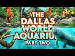 Zoo Tours: The Dallas World Aquarium | PART TWO