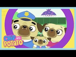 🔴EN VIVO | Chip Primer Día | Chip and Potato | Wildbrain Niños