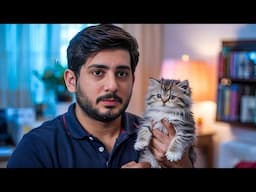 5 things I Wish I knew before getting a cat/kitten in 2025