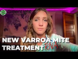 Vadescana vs Varroa: Did Science Just Win the War?
