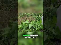 Fibroid Relief: Natural Remedy Women NEED to Know!