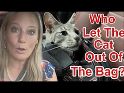 Abandoned Rescue Cat Causes Mayhem At The Vet…. Again | Worst Surgery Patient Ever