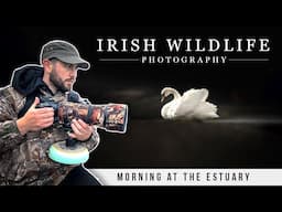 Irish Wildlife Photography - Morning at the Estuary (Bird Photography)